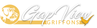 Gapview Griffons